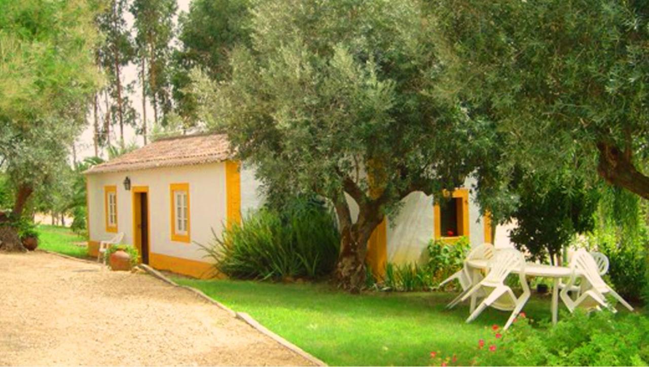 Quinta Do Pinhal Villa Constância Екстериор снимка