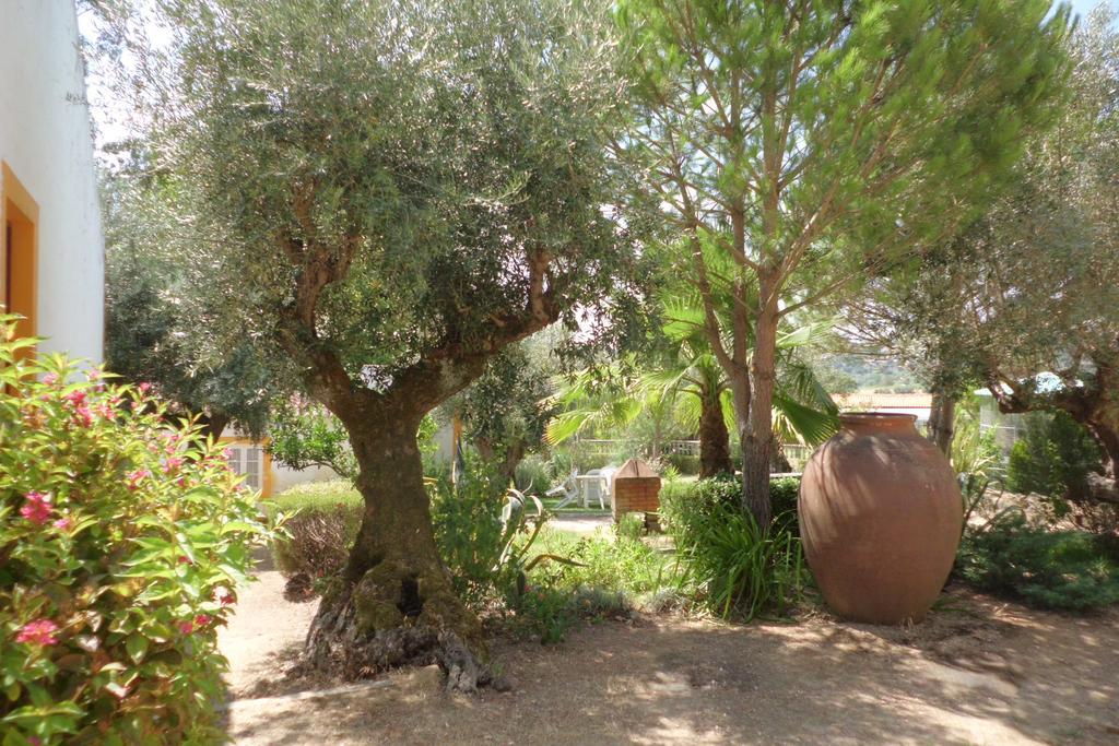 Quinta Do Pinhal Villa Constância Екстериор снимка